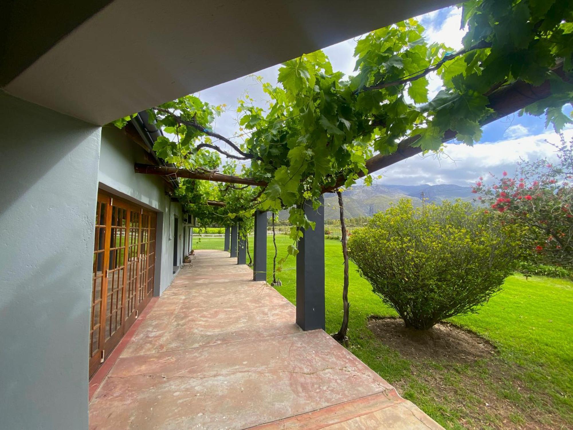 Oaksrest Vineyards Guest Farm Hotel Ладисмит Екстериор снимка